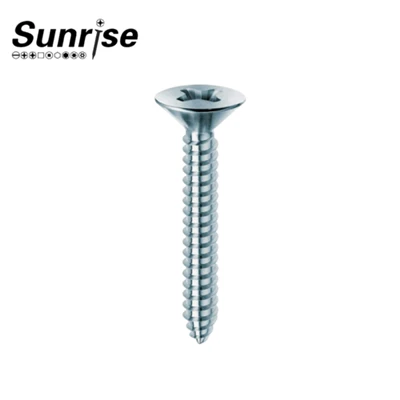 Phillips countersunk head sekrup penyadapan diri