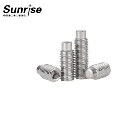 Stainless steel hexagon socket plug flat end set